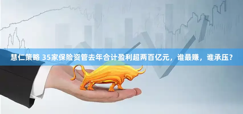 慧仁策略 35家保险资管去年合计盈利超两百亿元，谁最赚，谁承压？